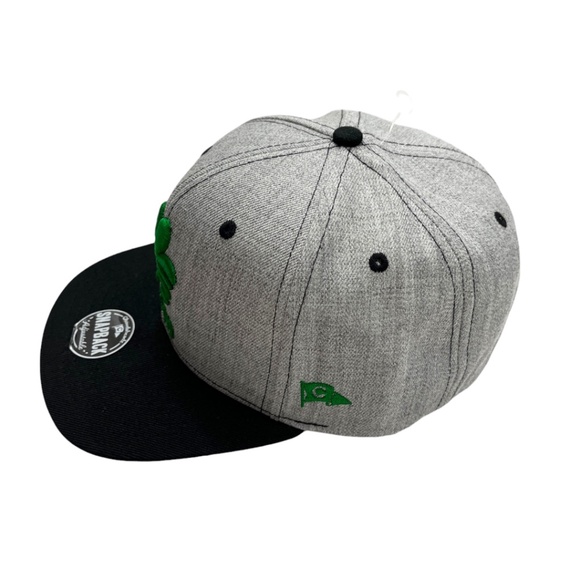 NWOT Boston Shamrock 3D Embroidered Flat Brim Hat Contrast Stitch Wool Blend - Picture 4 of 12